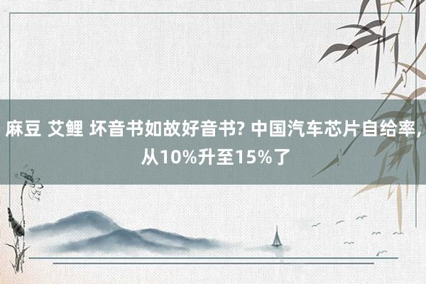 麻豆 艾鲤 坏音书如故好音书? 中国汽车芯片自给率， 从10%升至15%了
