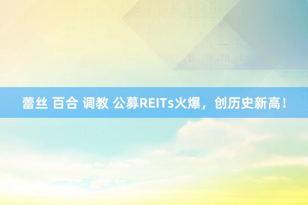 蕾丝 百合 调教 公募REITs火爆，创历史新高！