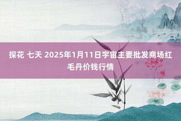 探花 七天 2025年1月11日宇宙主要批发商场红毛丹价钱行情