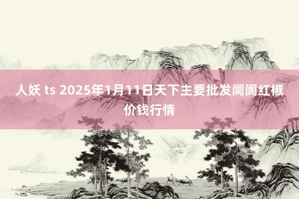 人妖 ts 2025年1月11日天下主要批发阛阓红椒价钱行情