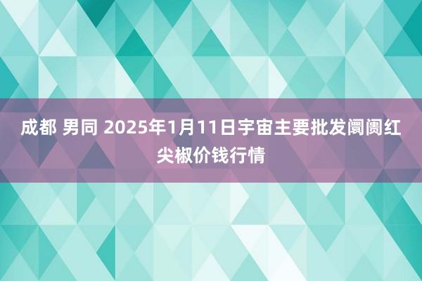 成都 男同 2025年1月11日宇宙主要批发阛阓红尖椒价钱行情