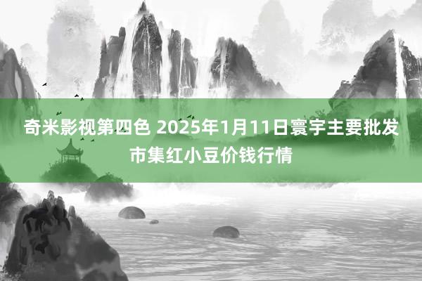 奇米影视第四色 2025年1月11日寰宇主要批发市集红小豆价钱行情