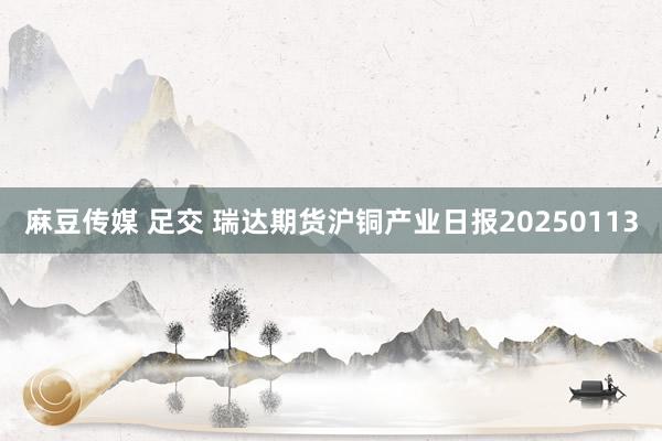 麻豆传媒 足交 瑞达期货沪铜产业日报20250113