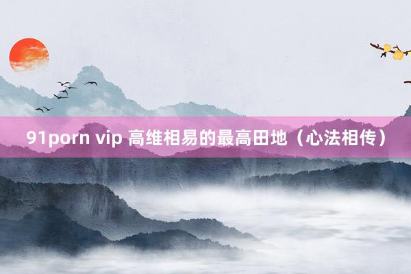 91porn vip 高维相易的最高田地（心法相传）
