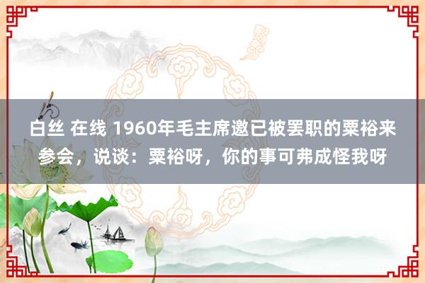 白丝 在线 1960年毛主席邀已被罢职的粟裕来参会，说谈：粟裕呀，你的事可弗成怪我呀