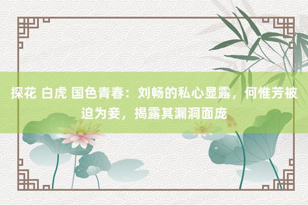 探花 白虎 国色青春：刘畅的私心显露，何惟芳被迫为妾，揭露其漏洞面庞