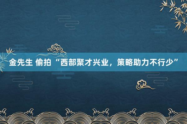 金先生 偷拍 “西部聚才兴业，策略助力不行少”