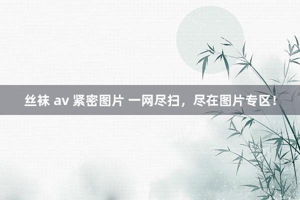 丝袜 av 紧密图片 一网尽扫，尽在图片专区！