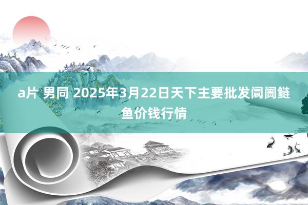 a片 男同 2025年3月22日天下主要批发阛阓鲢鱼价钱行情