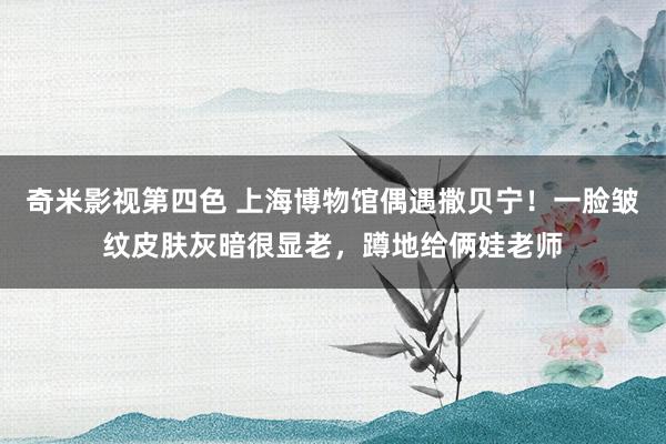 奇米影视第四色 上海博物馆偶遇撒贝宁！一脸皱纹皮肤灰暗很显老，蹲地给俩娃老师