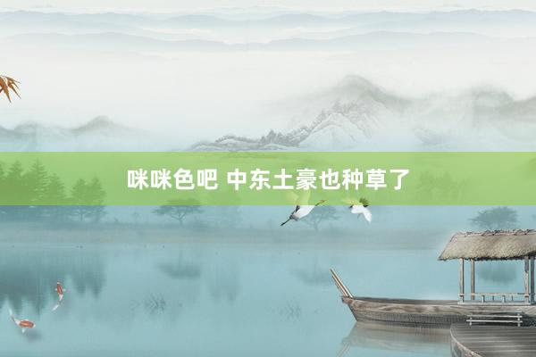 咪咪色吧 中东土豪也种草了