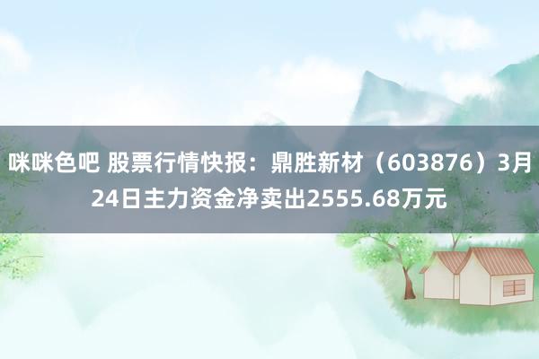 咪咪色吧 股票行情快报：鼎胜新材（603876）3月24日主力资金净卖出2555.68万元