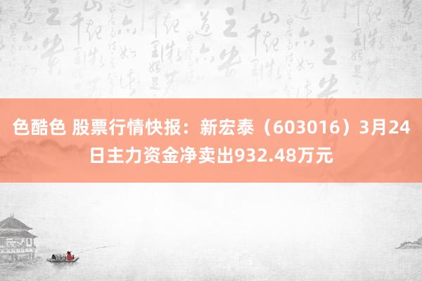 色酷色 股票行情快报：新宏泰（603016）3月24日主力资金净卖出932.48万元