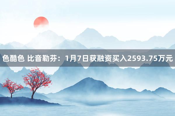 色酷色 比音勒芬：1月7日获融资买入2593.75万元