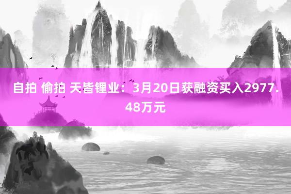自拍 偷拍 天皆锂业：3月20日获融资买入2977.48万元