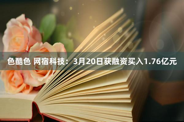 色酷色 网宿科技：3月20日获融资买入1.76亿元