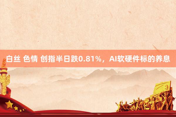 白丝 色情 创指半日跌0.81%，AI软硬件标的养息