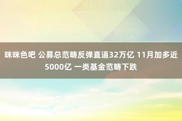 咪咪色吧 公募总范畴反弹直逼32万亿 11月加多近5000亿 一类基金范畴下跌