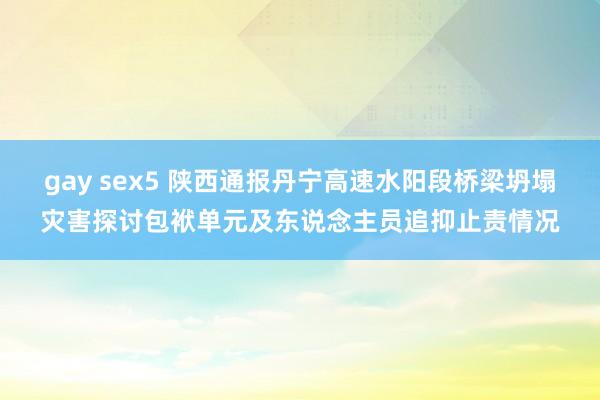 gay sex5 陕西通报丹宁高速水阳段桥梁坍塌灾害探讨包袱单元及东说念主员追抑止责情况