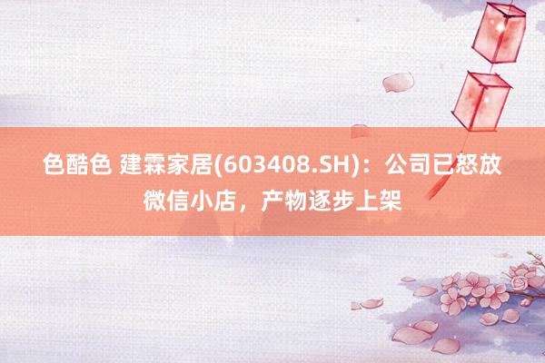色酷色 建霖家居(603408.SH)：公司已怒放微信小店，产物逐步上架