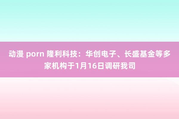 动漫 porn 隆利科技：华创电子、长盛基金等多家机构于1月16日调研我司