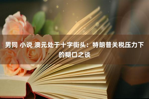 男同 小说 澳元处于十字街头：特朗普关税压力下的糊口之谈