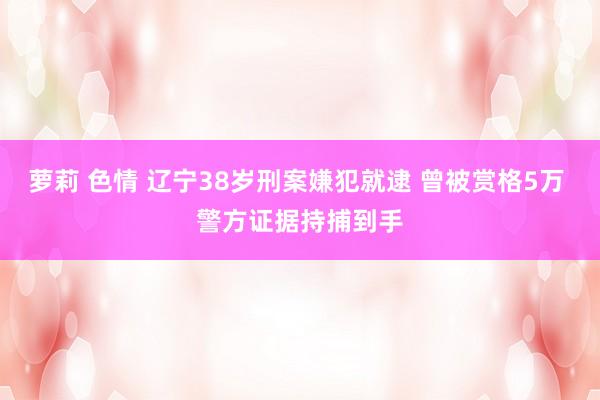 萝莉 色情 辽宁38岁刑案嫌犯就逮 曾被赏格5万 警方证据持捕到手