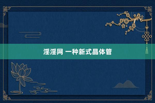 淫淫网 一种新式晶体管