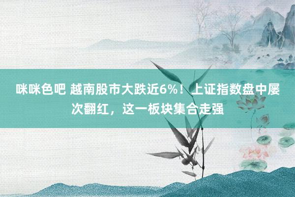咪咪色吧 越南股市大跌近6%！上证指数盘中屡次翻红，这一板块集合走强
