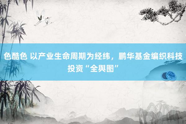 色酷色 以产业生命周期为经纬，鹏华基金编织科技投资“全舆图”