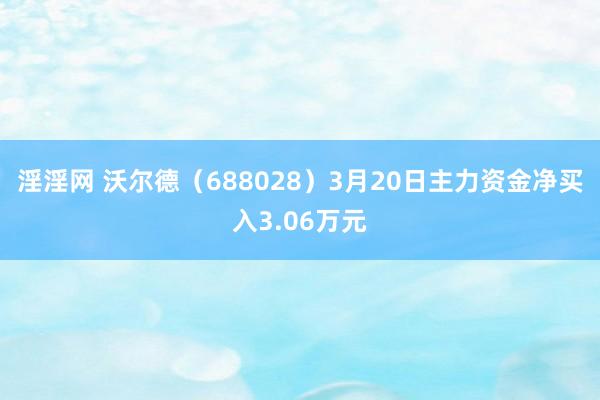 淫淫网 沃尔德（688028）3月20日主力资金净买入3.06万元