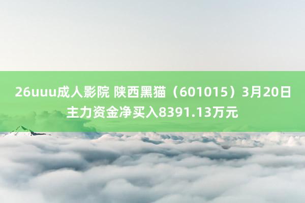 26uuu成人影院 陕西黑猫（601015）3月20日主力资金净买入8391.13万元