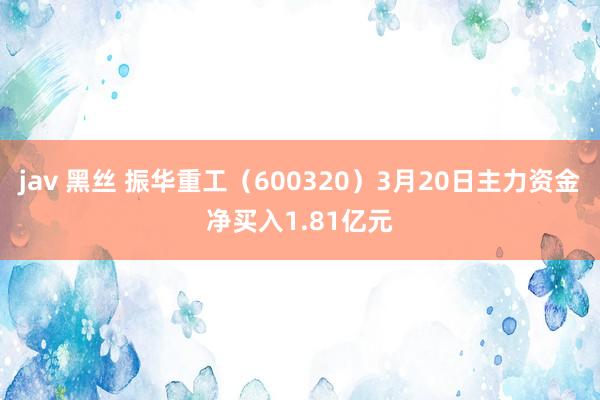 jav 黑丝 振华重工（600320）3月20日主力资金净买入1.81亿元