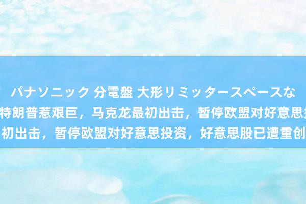 パナソニック 分電盤 大形リミッタースペースなし 露出・半埋込両用形 特朗普惹艰巨，马克龙最初出击，暂停欧盟对好意思投资，好意思股已遭重创