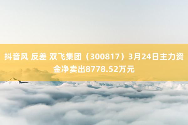 抖音风 反差 双飞集团（300817）3月24日主力资金净卖出8778.52万元