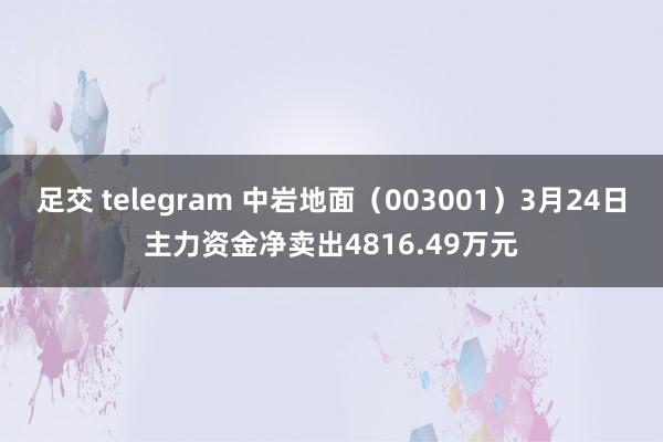 足交 telegram 中岩地面（003001）3月24日主力资金净卖出4816.49万元