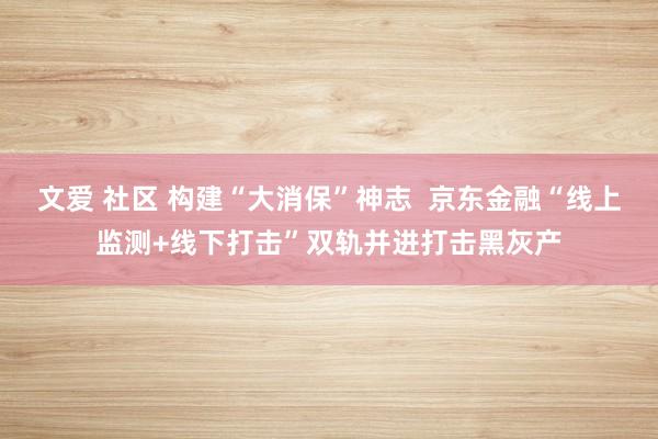 文爱 社区 构建“大消保”神志  京东金融“线上监测+线下打击”双轨并进打击黑灰产
