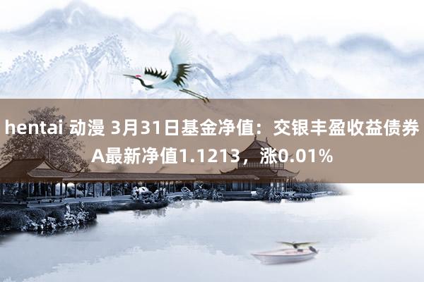hentai 动漫 3月31日基金净值：交银丰盈收益债券A最新净值1.1213，涨0.01%