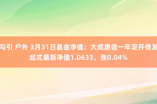 勾引 户外 3月31日基金净值：大成惠信一年定开债发起式最新净值1.0633，涨0.04%