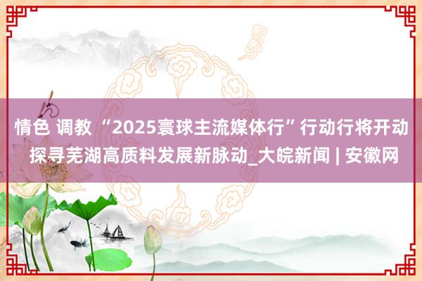 情色 调教 “2025寰球主流媒体行”行动行将开动 探寻芜湖高质料发展新脉动_大皖新闻 | 安徽网