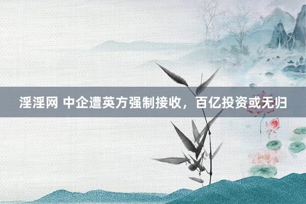 淫淫网 中企遭英方强制接收，百亿投资或无归