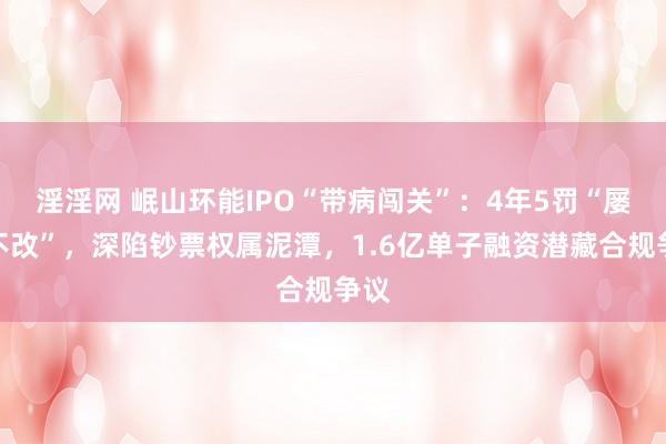 淫淫网 岷山环能IPO“带病闯关”：4年5罚“屡罚不改”，深陷钞票权属泥潭，1.6亿单子融资潜藏合规争议