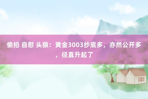 偷拍 自慰 头狼：黄金3003抄底多，亦然公开多，径直升起了