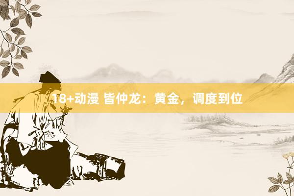 18+动漫 皆仲龙：黄金，调度到位