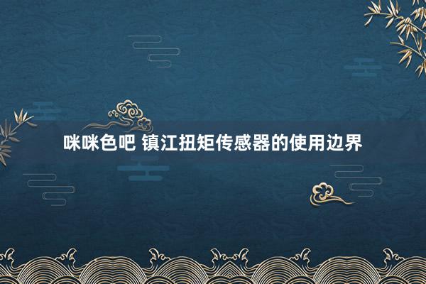 咪咪色吧 镇江扭矩传感器的使用边界