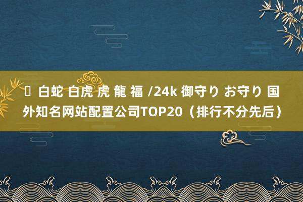 ✨白蛇 白虎 虎 龍 福 /24k 御守り お守り 国外知名网站配置公司TOP20（排行不分先后）