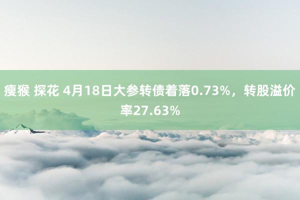 瘦猴 探花 4月18日大参转债着落0.73%，转股溢价率27.63%
