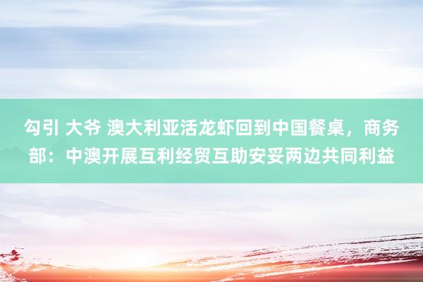 勾引 大爷 澳大利亚活龙虾回到中国餐桌，商务部：中澳开展互利经贸互助安妥两边共同利益
