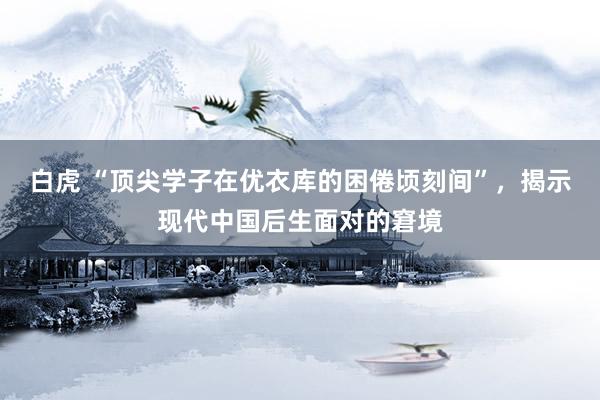 白虎 “顶尖学子在优衣库的困倦顷刻间”，揭示现代中国后生面对的窘境
