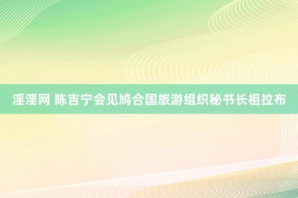 淫淫网 陈吉宁会见鸠合国旅游组织秘书长祖拉布